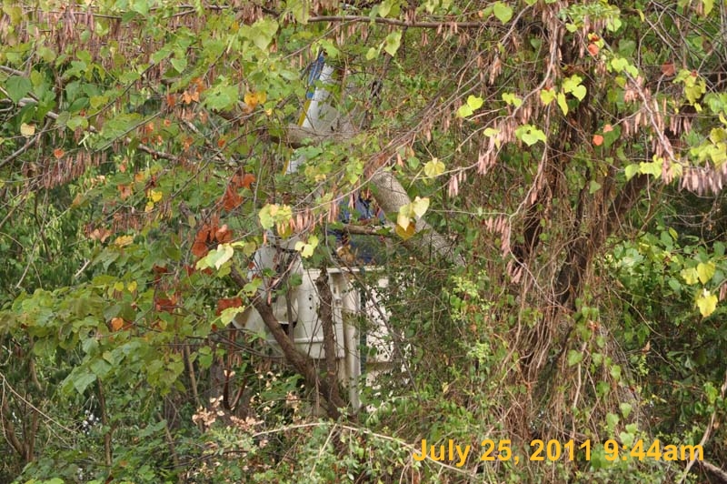 Entergy 102